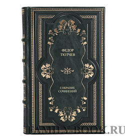 Элитные книги Федор Тютчев Собрание сочинений в 2 томах  подарочное издание в коже