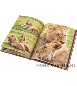 Подарочное издание книги Африка подарочное издание в коже