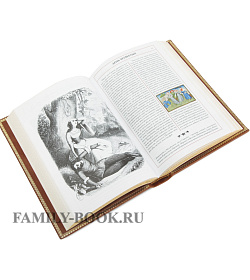 Подарочная книга Декамерон Джованни Боккаччо подарочное издание в коже