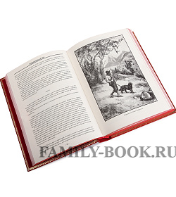 Подарочное издание книги Даниэль Дефо. Приключения Робинзона Крузо подарочное издание в коже