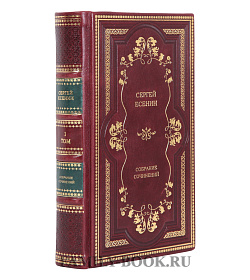 Элитные книги Сергей Есенин собрание сочинений в 2-х томах подарочное издание в коже