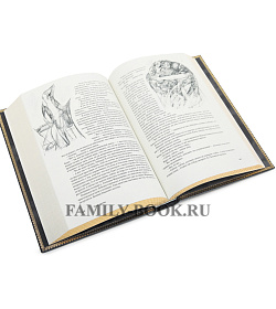 Подарочное издание книги Идиот. Фёдор Достоевский подарочное издание в коже