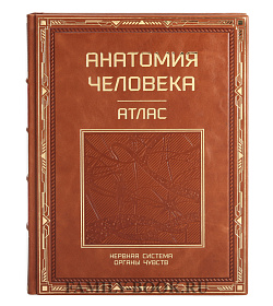 Подарочное издание книги Атлас анатомии человека в 3-х томах подарочное издание в коже