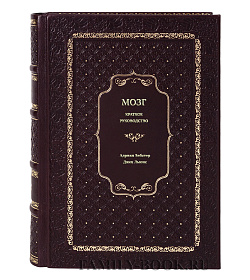 Книга Мозг. Краткое руководство. Всё, что вам нужно знать для повышения эффективности и снижения стресса подарочное издание в коже