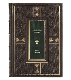 Книга Божественная комедия Данте Алигьери подарочное издание в коже