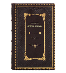 Жизнь души. Еврейское учение о том, что нас ждет после смерти подарочное издание в коже