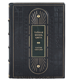 Эксклюзивная книга Тайная жизнь цвета Кассия Сен-Клер подарочное издание в коже