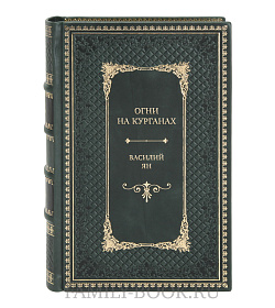 Эксклюзивная книга Огни на курганах Василий Ян подарочное издание в коже