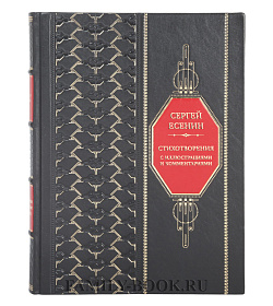 Элитная книга Сергей Есенин Стихотворения с иллюстрациями и комментариями подарочное издание в коже